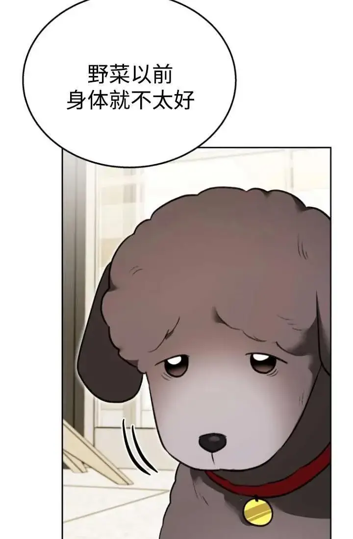 漫画《兽医先生！你好？》第34话第12张图