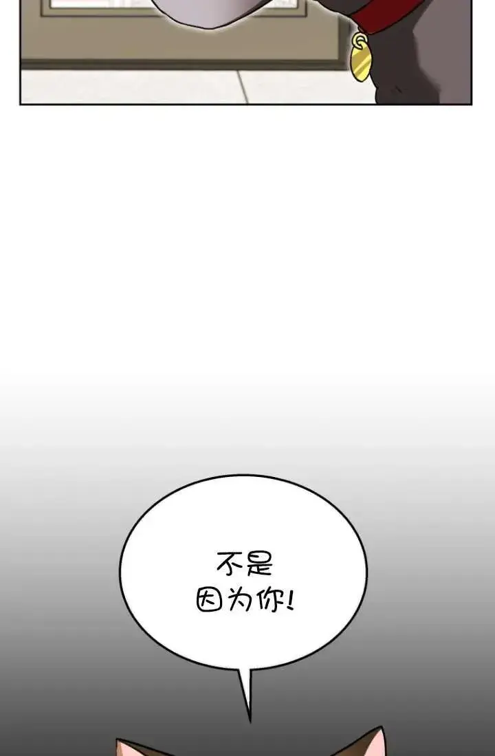 漫画《兽医先生！你好？》第34话第16张图