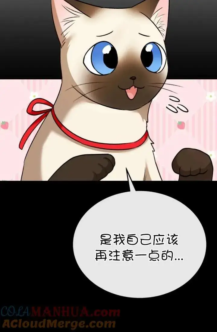 漫画《兽医先生！你好？》第34话第17张图
