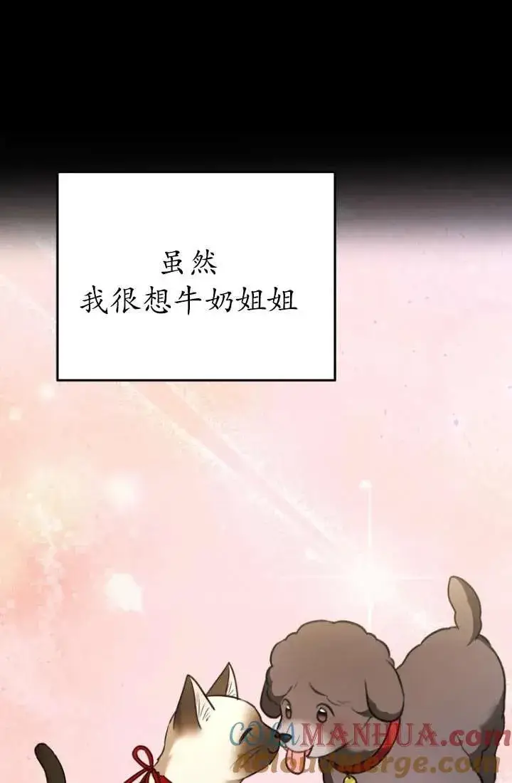 漫画《兽医先生！你好？》第34话第21张图
