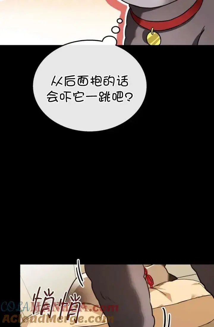 漫画《兽医先生！你好？》第34话第25张图