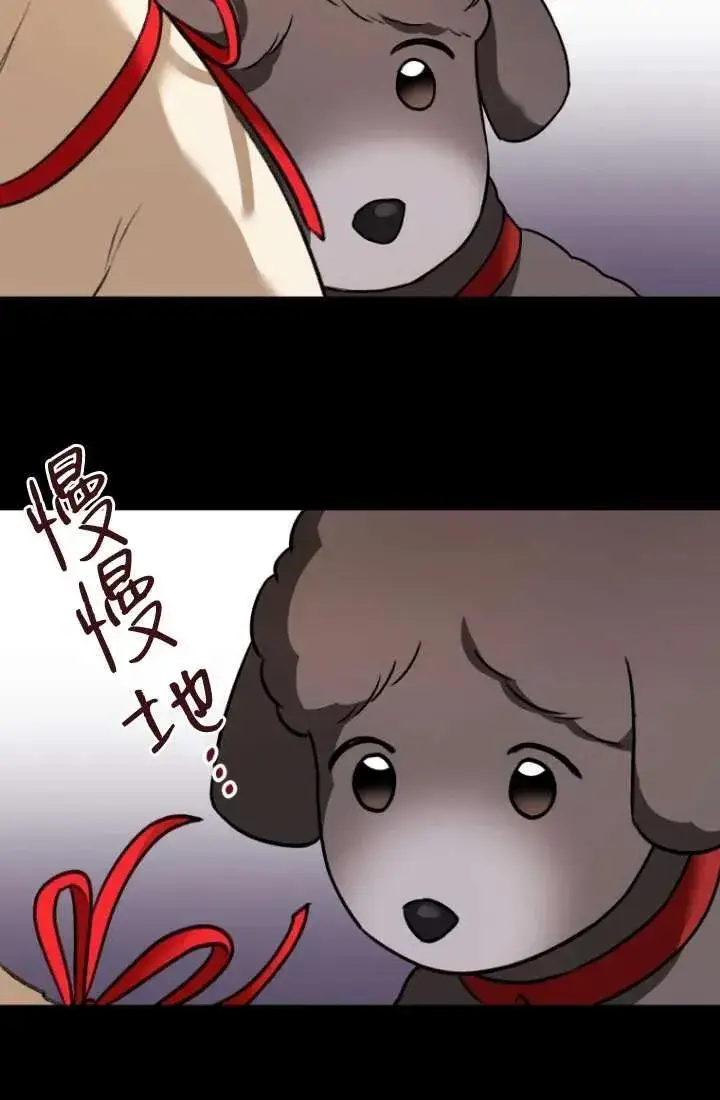 漫画《兽医先生！你好？》第34话第31张图