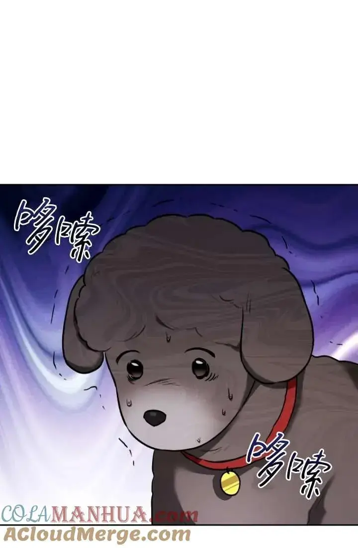 漫画《兽医先生！你好？》第34话第37张图