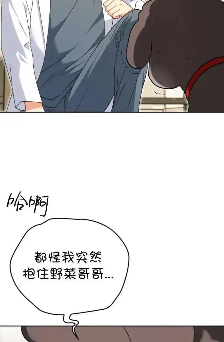 漫画《兽医先生！你好？》第34话第39张图