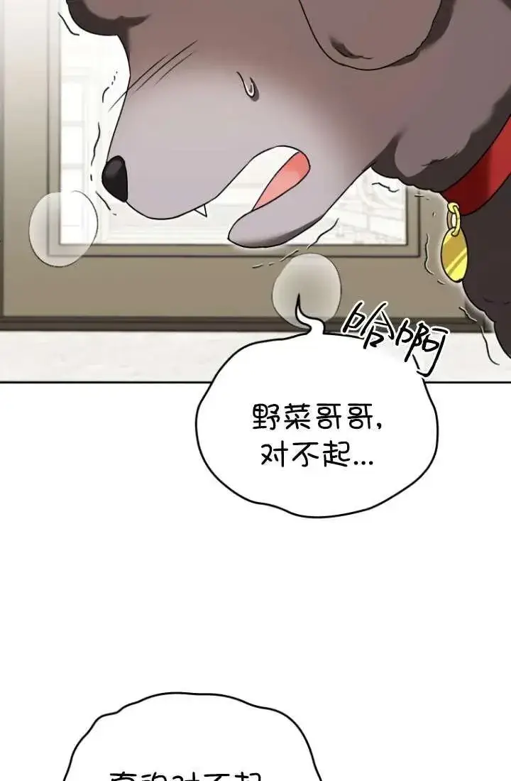 漫画《兽医先生！你好？》第34话第40张图