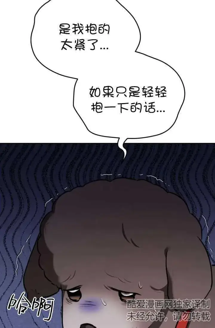 漫画《兽医先生！你好？》第34话第42张图