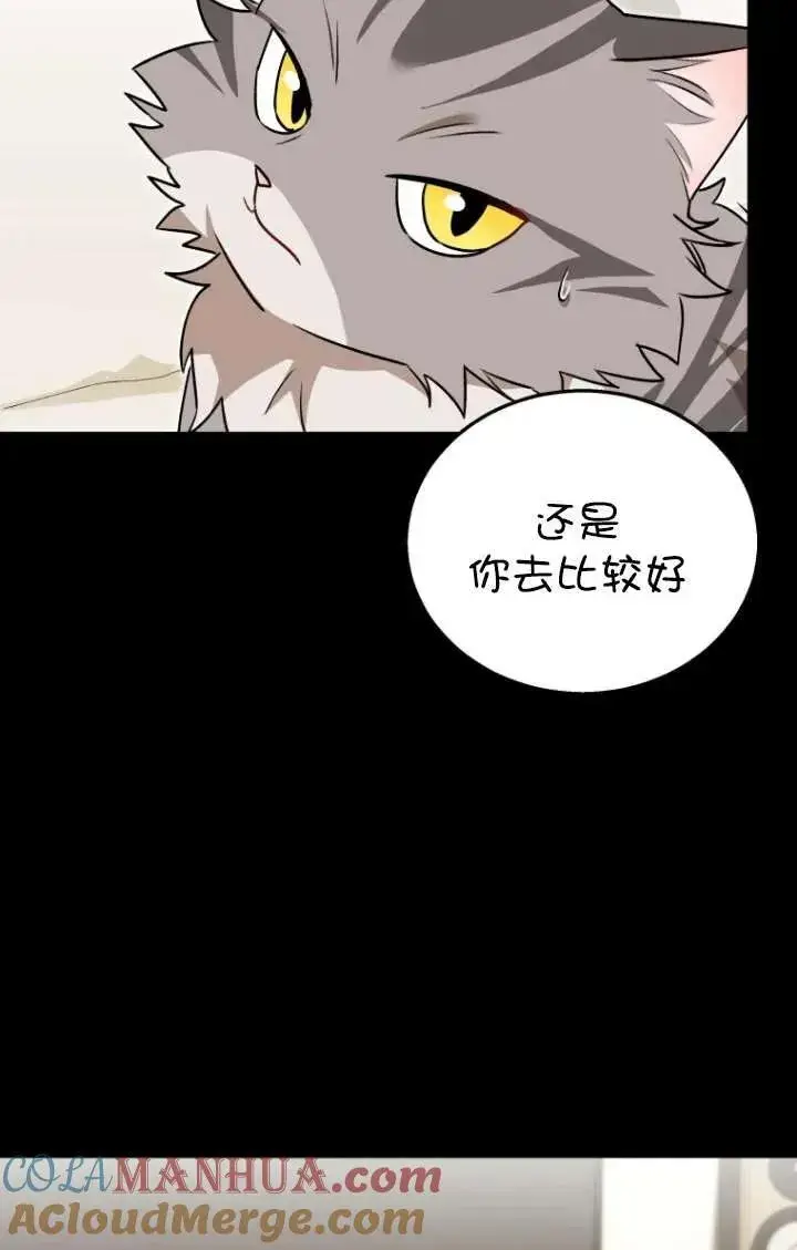 《兽医先生！你好？》第35话图17