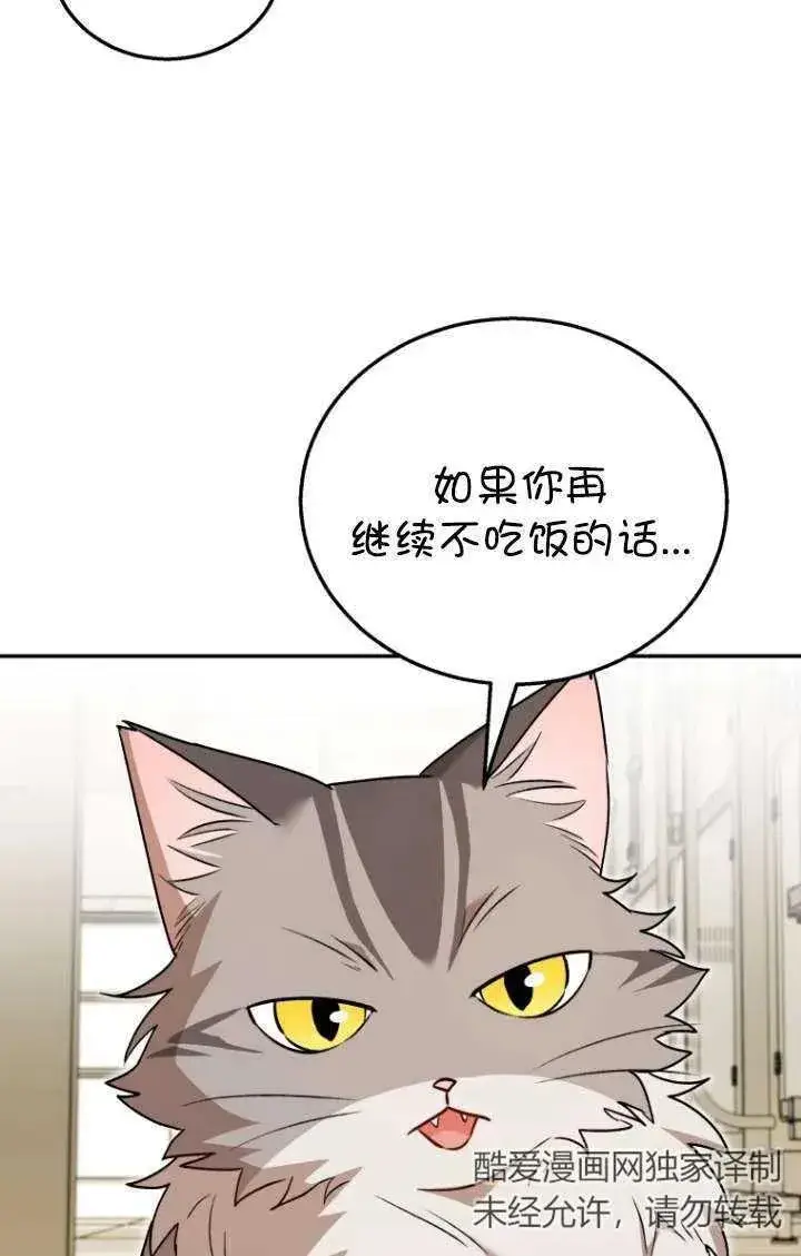 《兽医先生！你好？》第35话图34