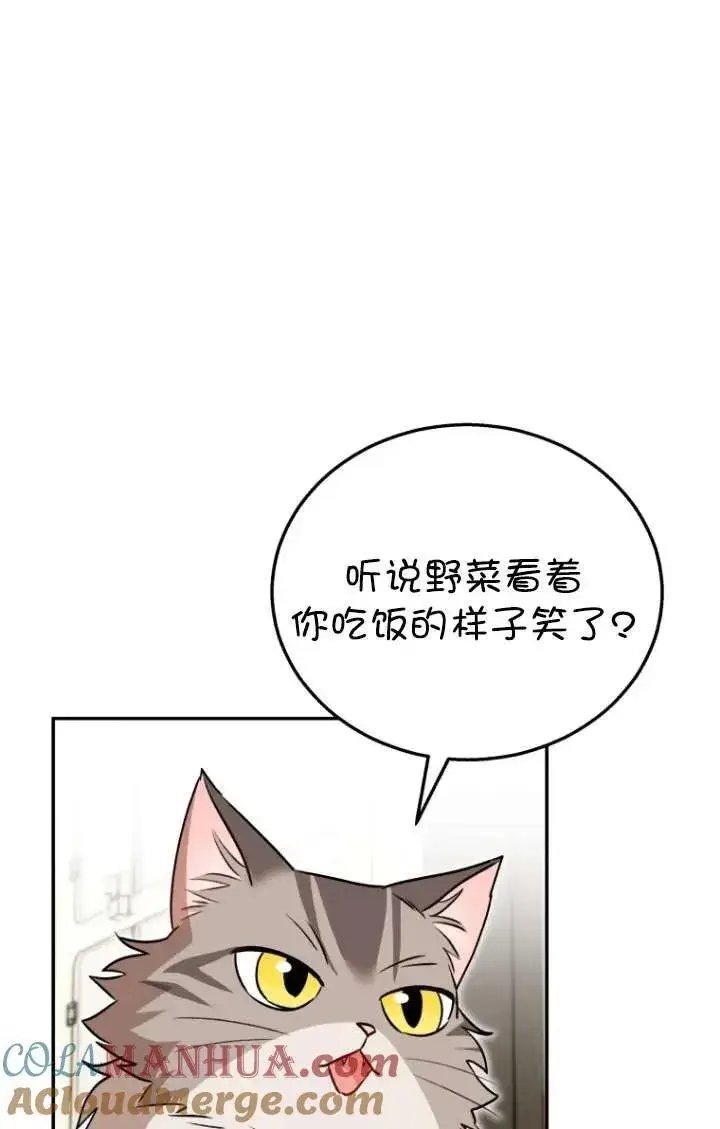 《兽医先生！你好？》第35话图37