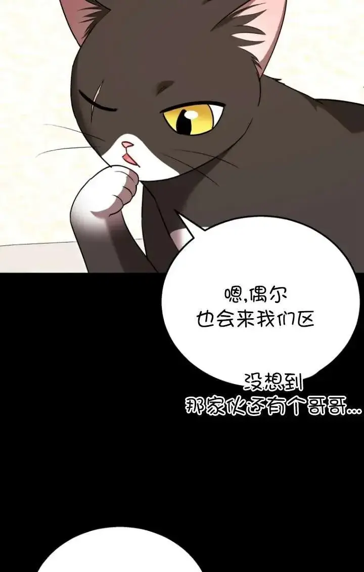 《兽医先生！你好？》第35话图4