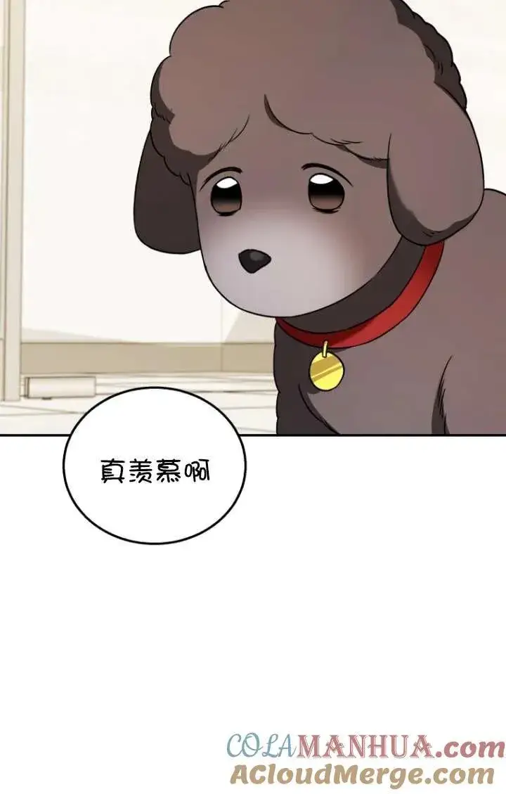 《兽医先生！你好？》第35话图41