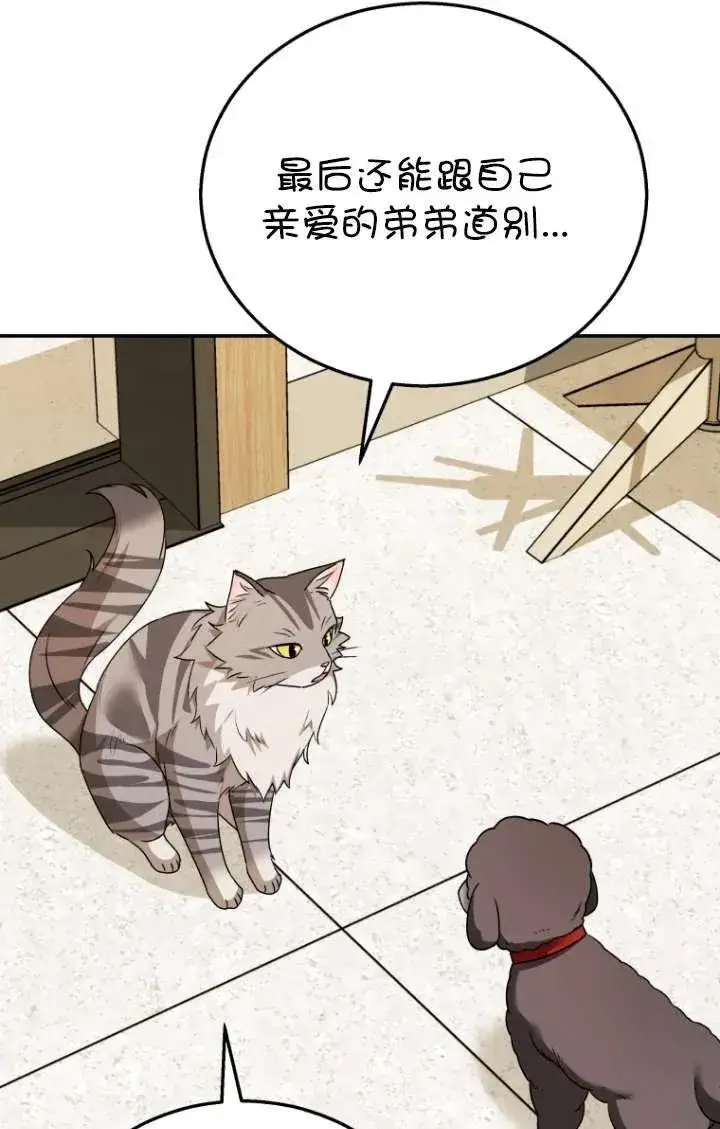 《兽医先生！你好？》第35话图42