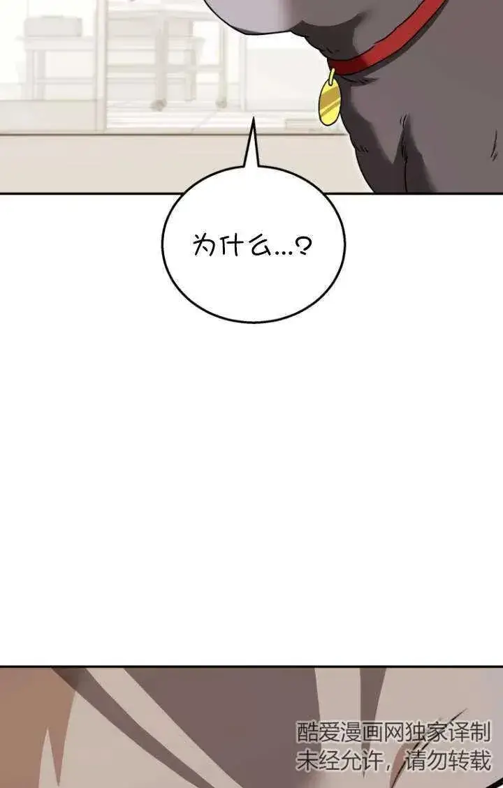 《兽医先生！你好？》第35话图44