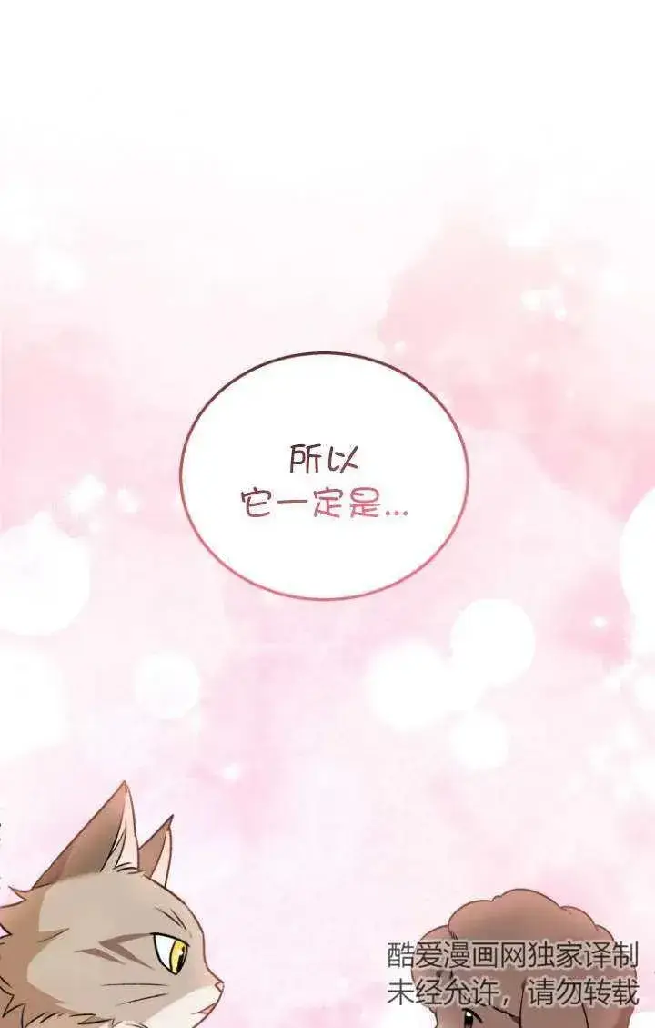 《兽医先生！你好？》第35话图54