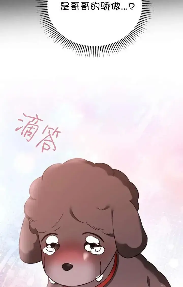 《兽医先生！你好？》第35话图59