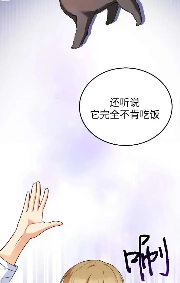 《兽医先生！你好？》第35话图8