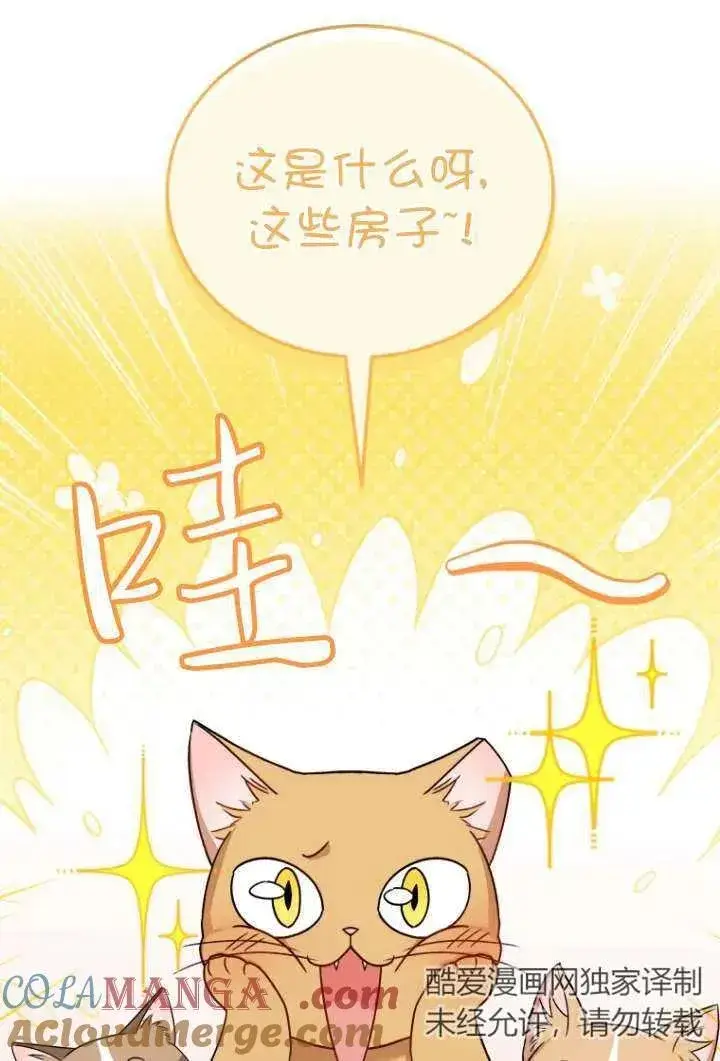 《兽医先生！你好？》第37话图43