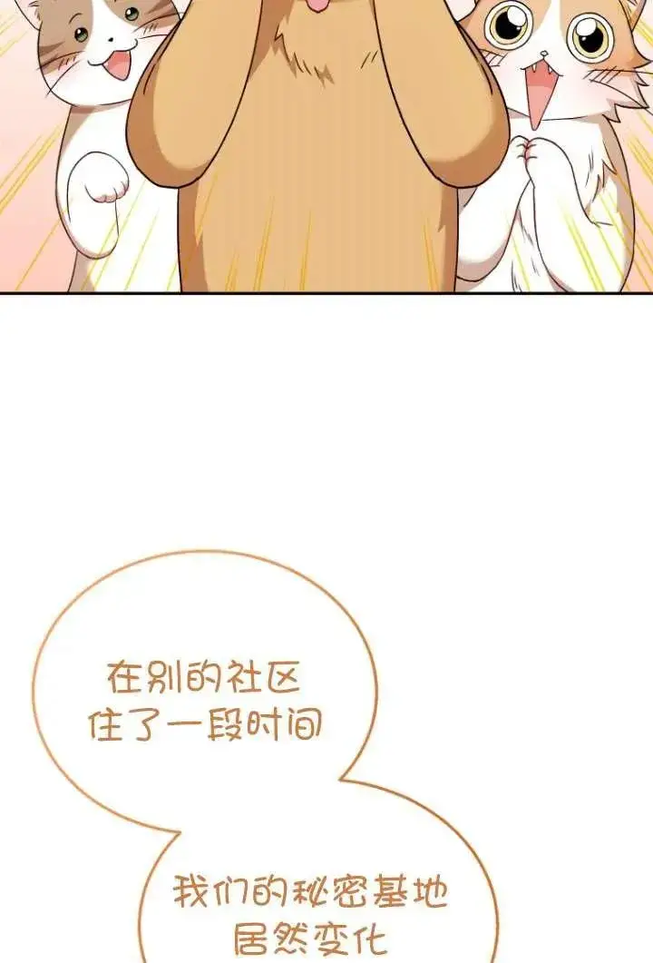 《兽医先生！你好？》第37话图44