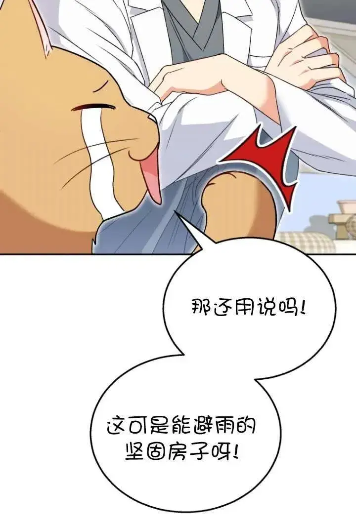 《兽医先生！你好？》第37话图47