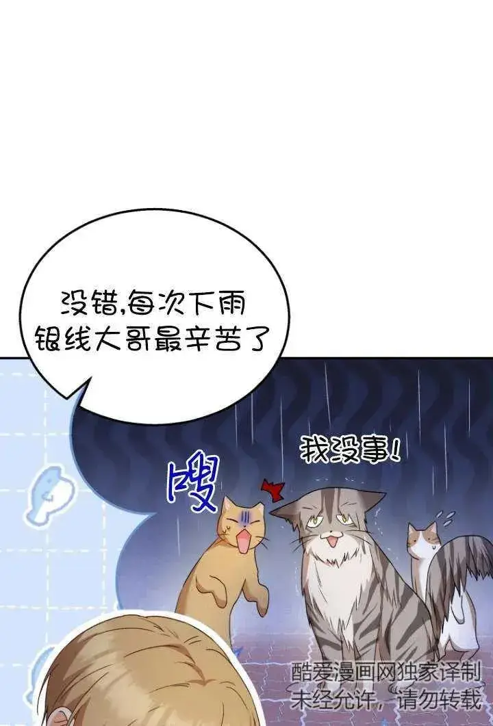 《兽医先生！你好？》第37话图48