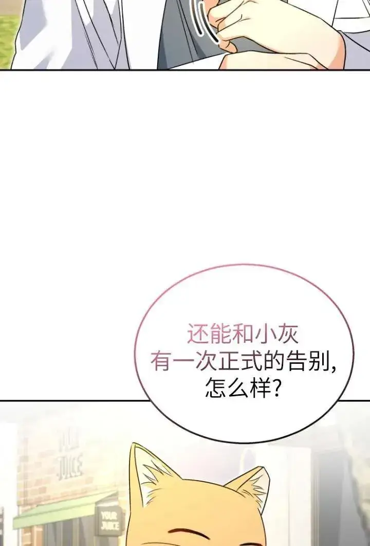 《兽医先生！你好？》第37话图65