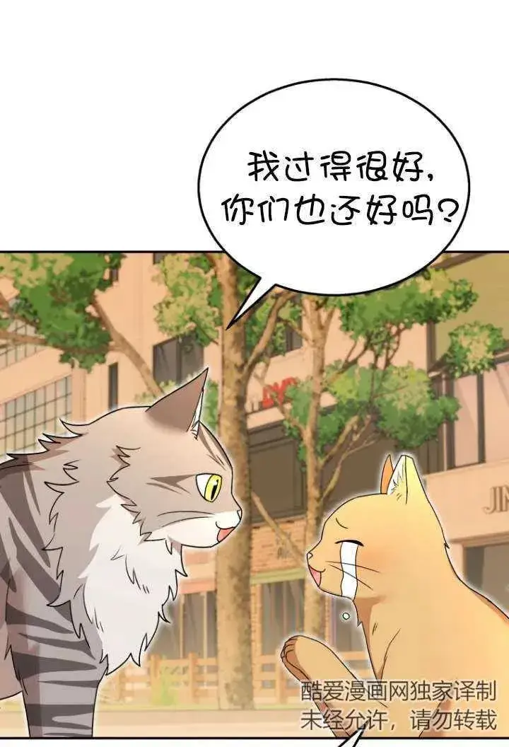《兽医先生！你好？》第38话图15