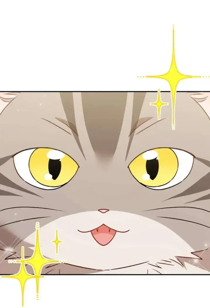 《兽医先生！你好？》第38话图3