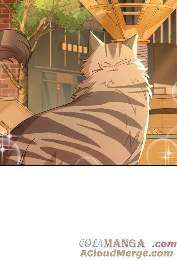 《兽医先生！你好？》第38话图5