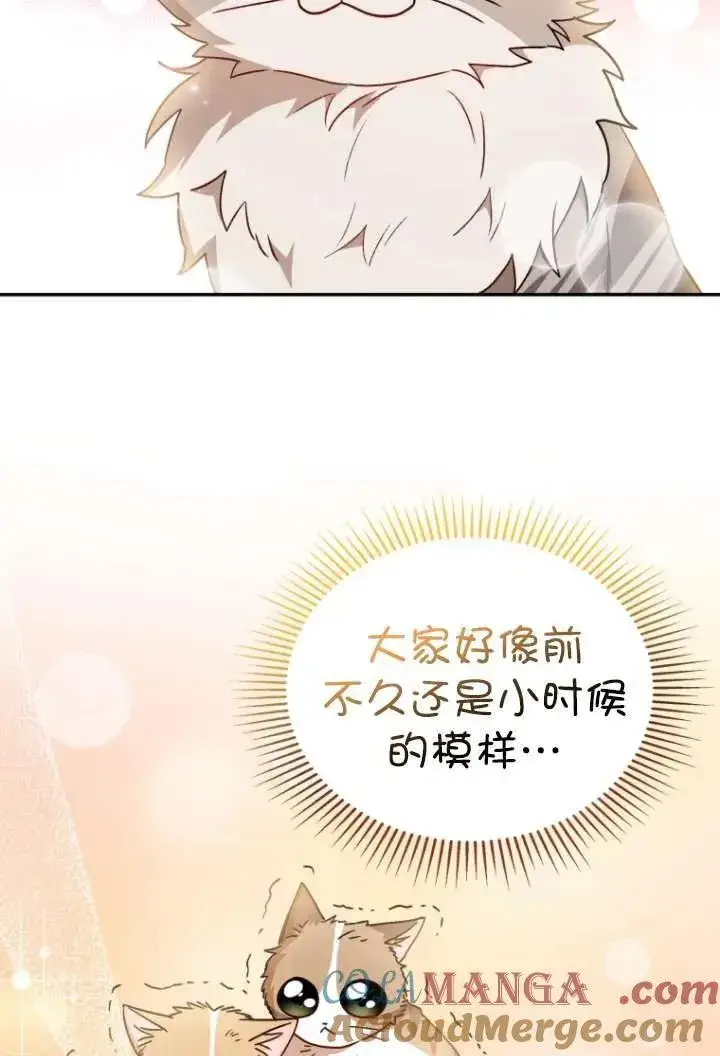 《兽医先生！你好？》第38话图57