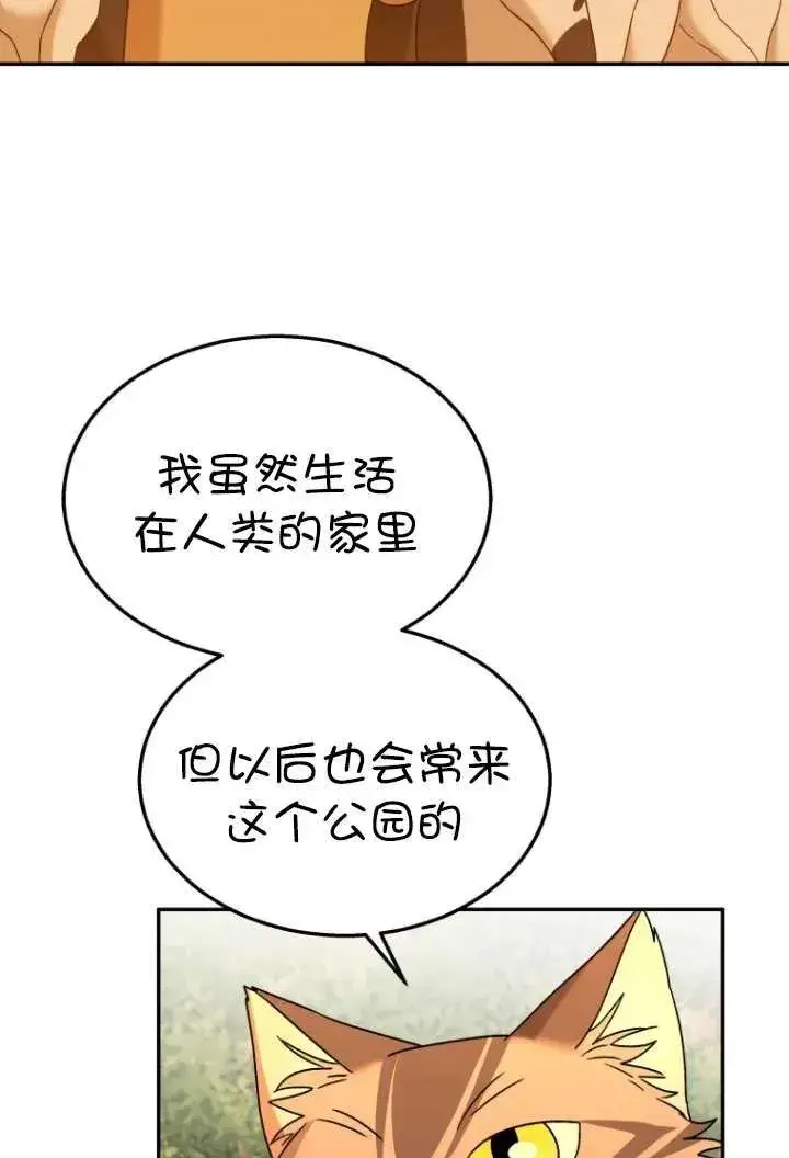 《兽医先生！你好？》第38话图62