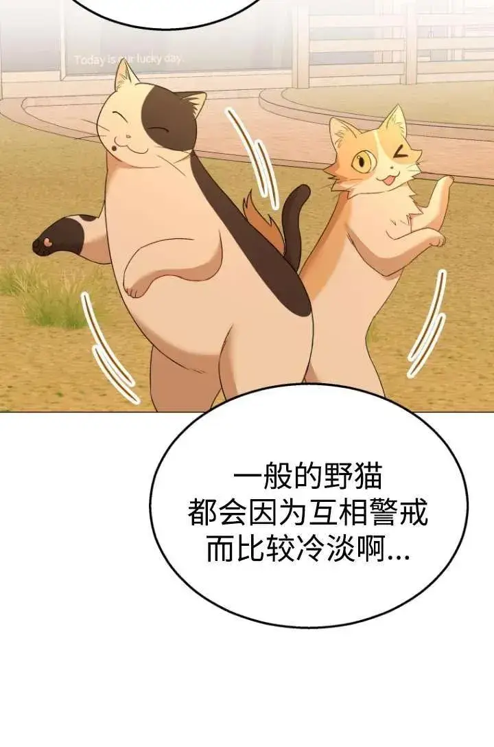 《兽医先生！你好？》第39话图20