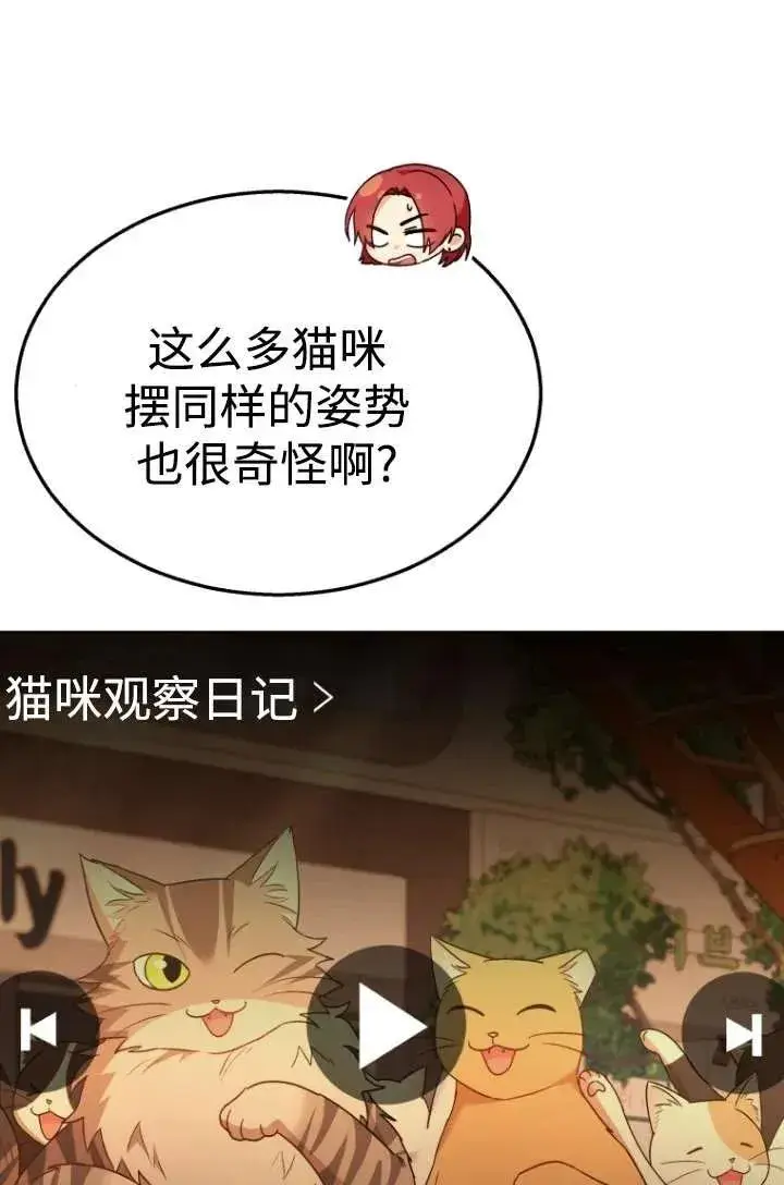 《兽医先生！你好？》第39话图24