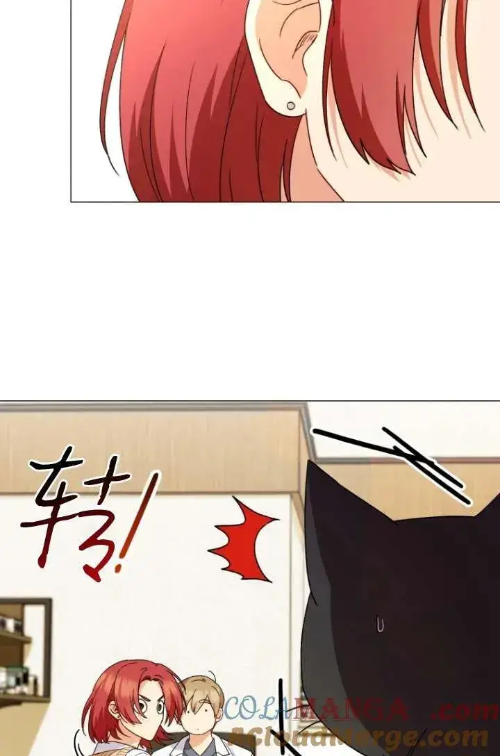 《兽医先生！你好？》第39话图65