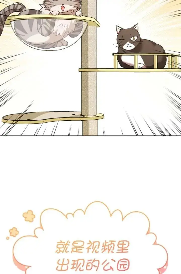 《兽医先生！你好？》第39话图68