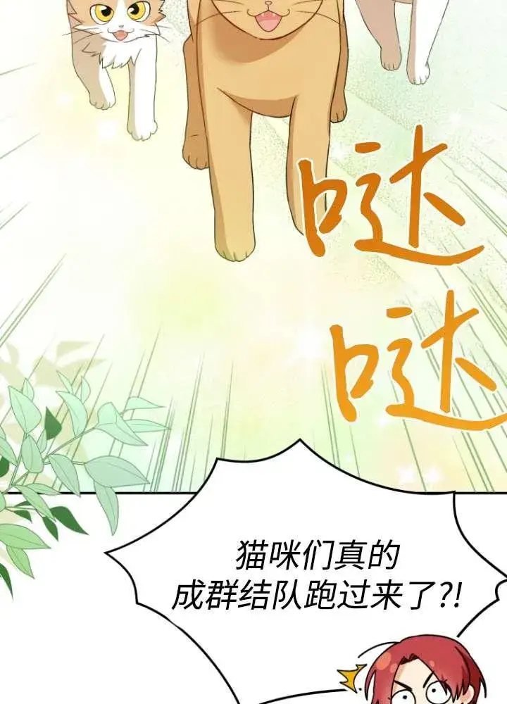 《兽医先生！你好？》第40话图23