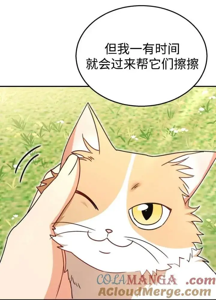《兽医先生！你好？》第40话图41