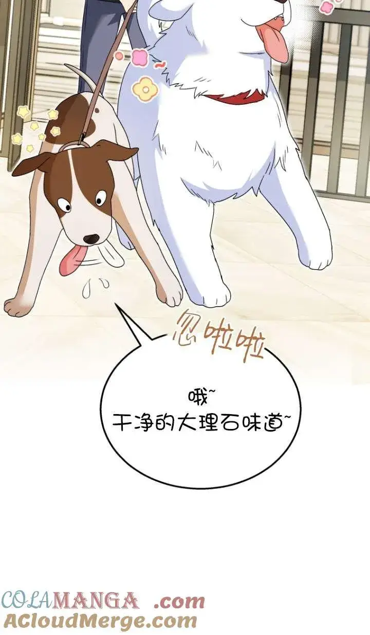 《兽医先生！你好？》第41话图33