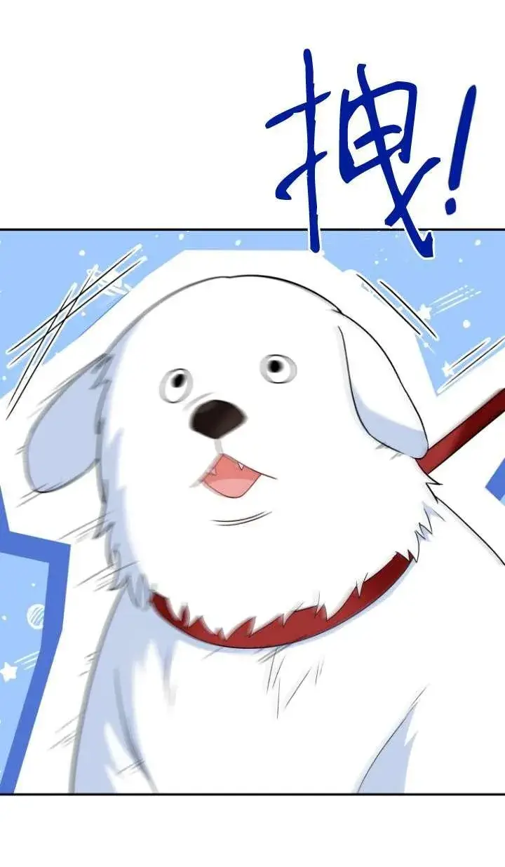 《兽医先生！你好？》第41话图39
