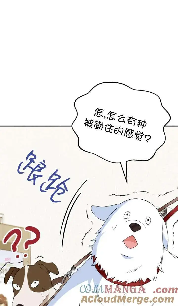 《兽医先生！你好？》第41话图41