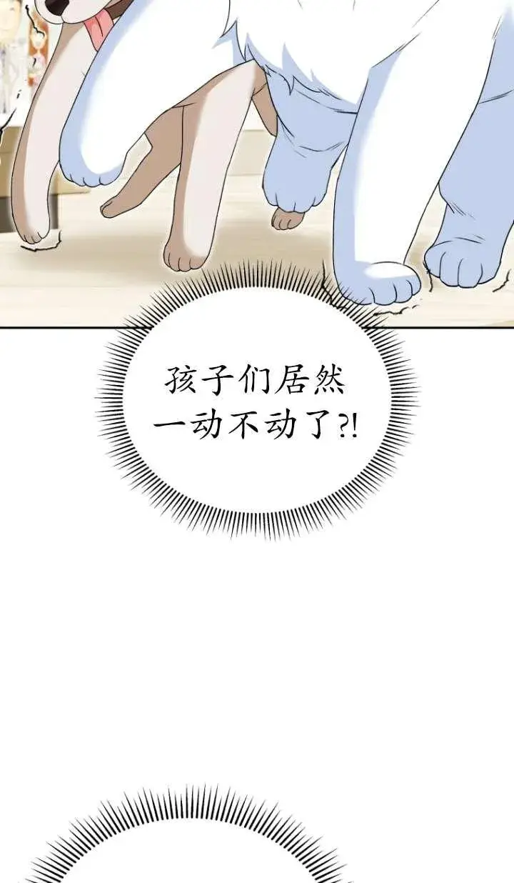 《兽医先生！你好？》第41话图42