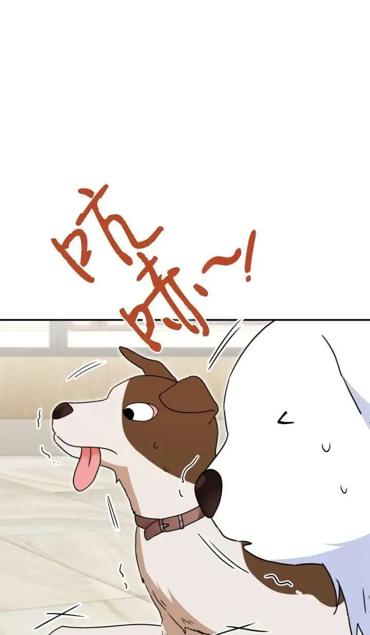 《兽医先生！你好？》第41话图46