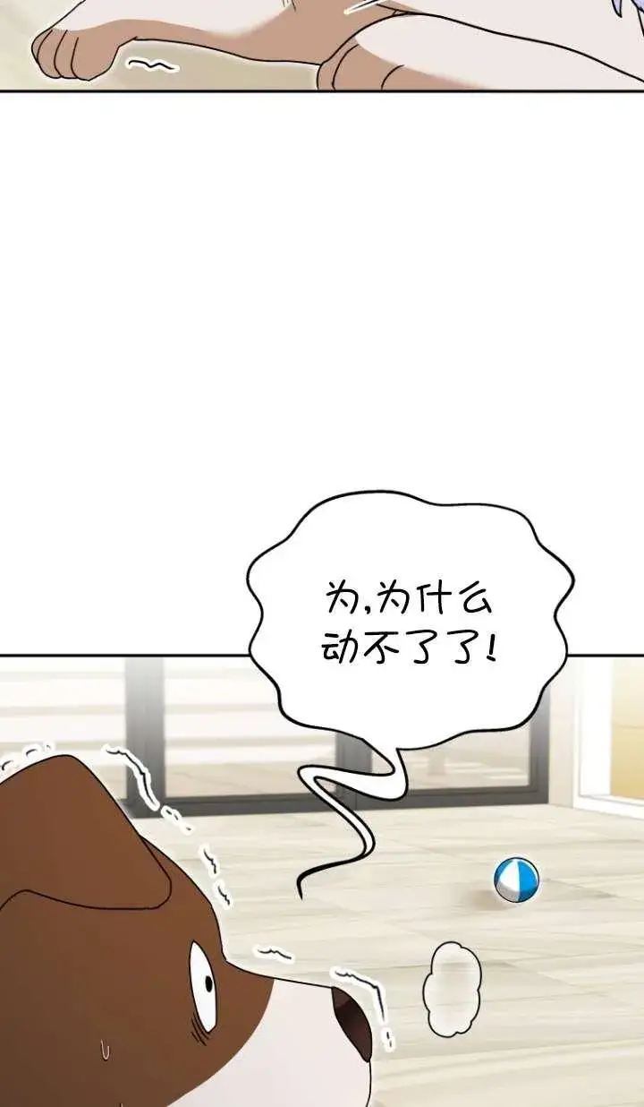 《兽医先生！你好？》第41话图47