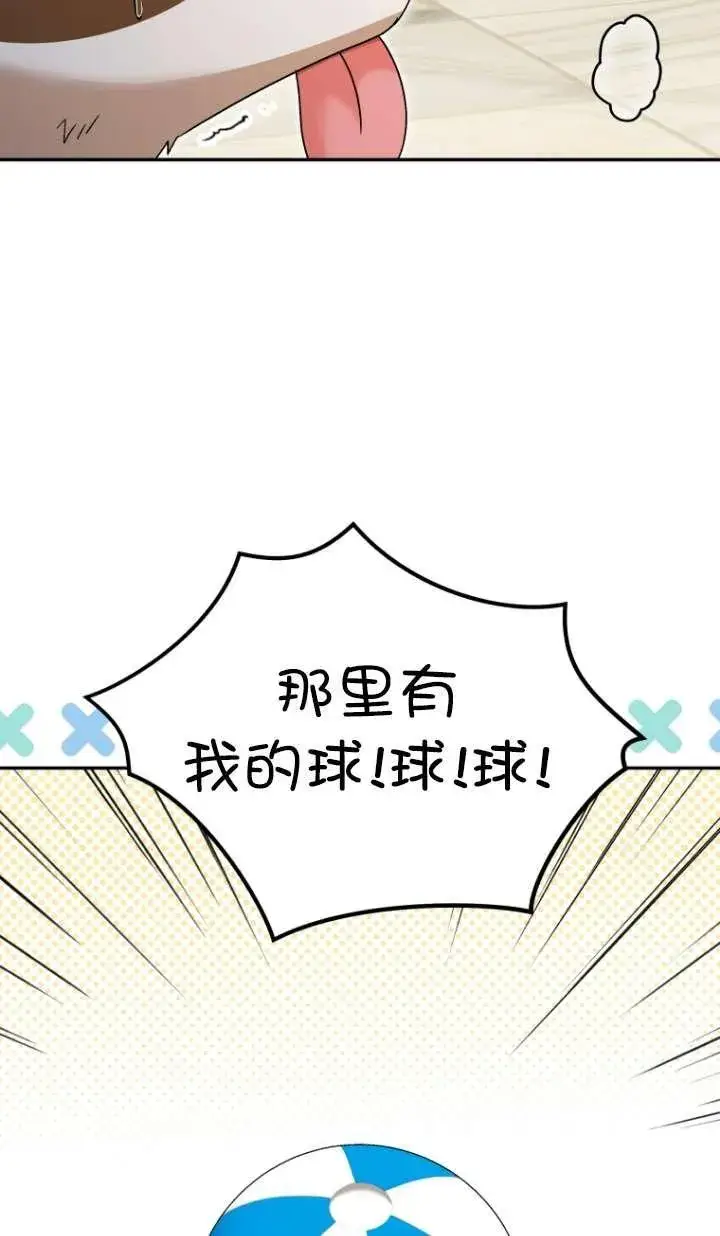 《兽医先生！你好？》第41话图48