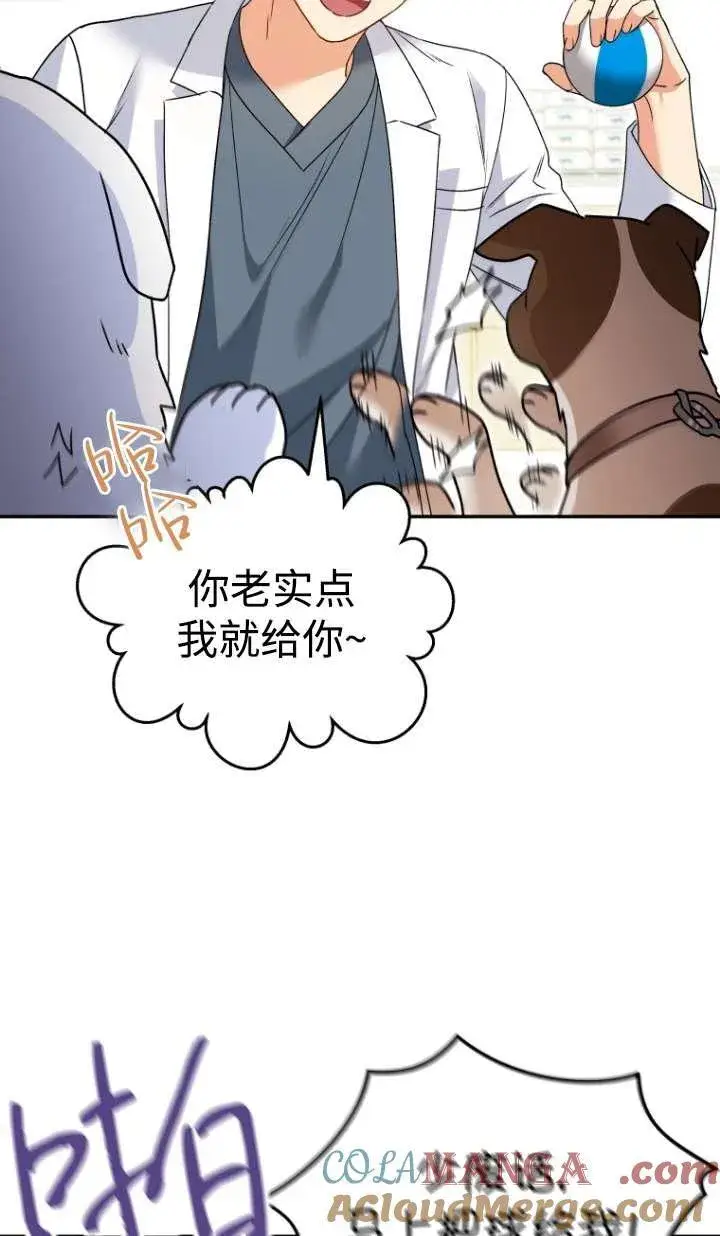 《兽医先生！你好？》第41话图53