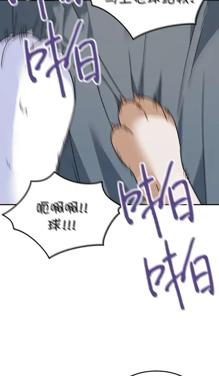 《兽医先生！你好？》第41话图54