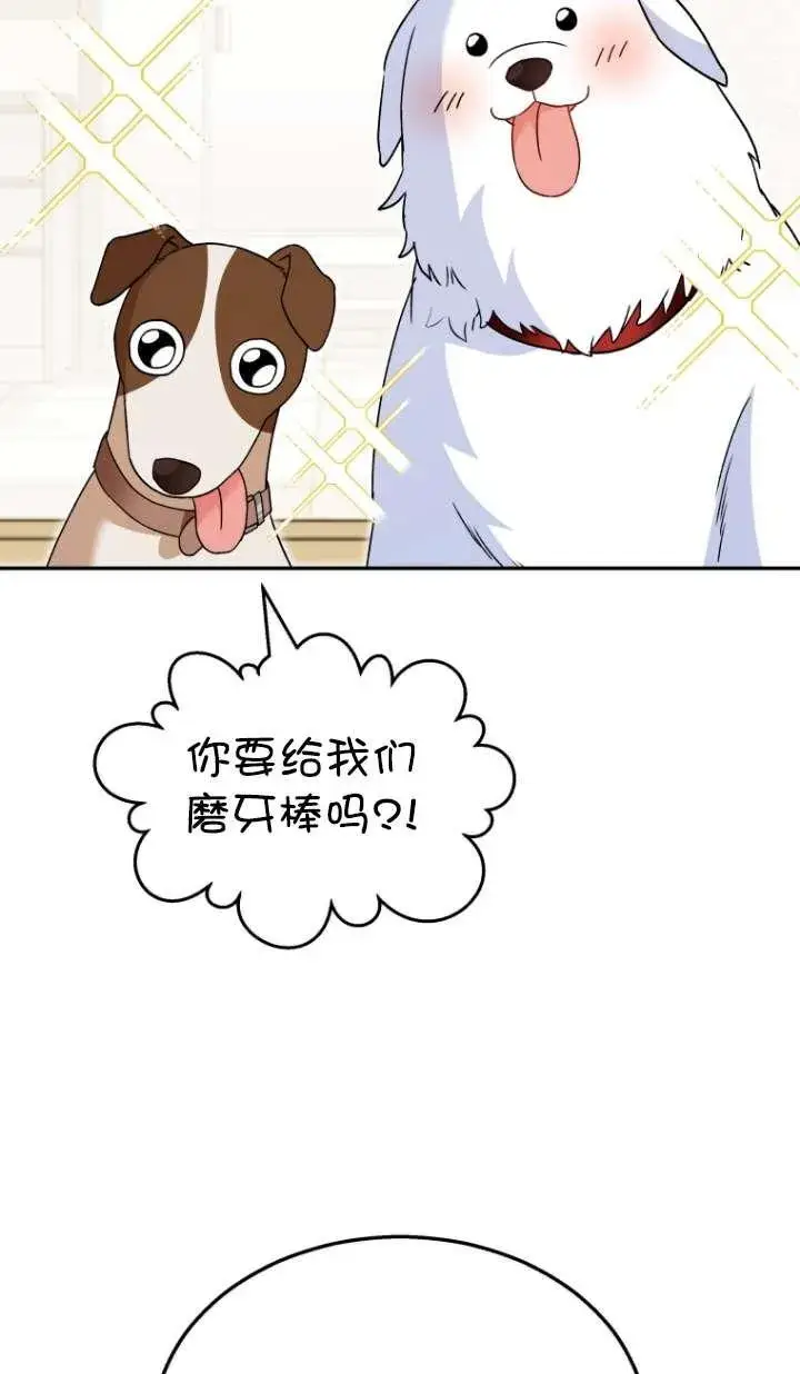 《兽医先生！你好？》第41话图62