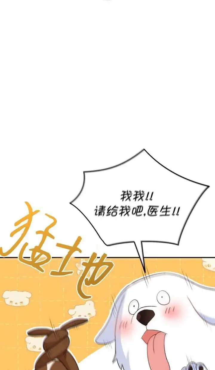 《兽医先生！你好？》第41话图72