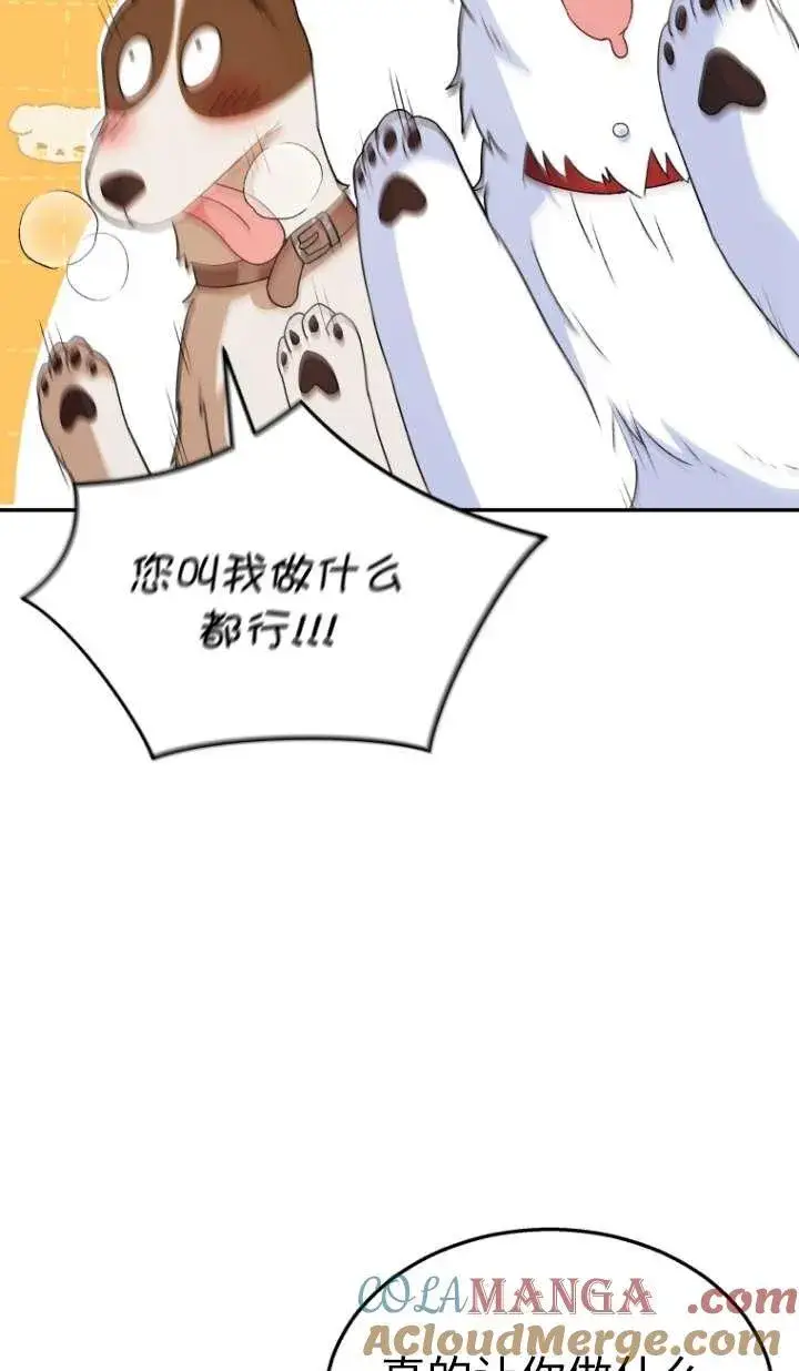《兽医先生！你好？》第41话图73