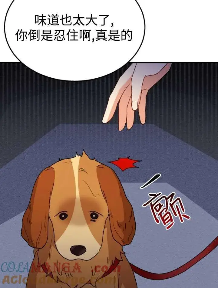 《兽医先生！你好？》第42话图21