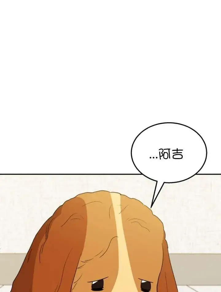 《兽医先生！你好？》第42话图55